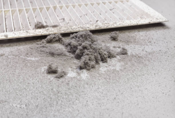 Best HVAC Air Duct Cleaning  in Murray, KY