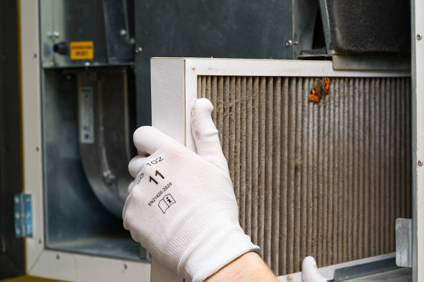 Best Air Duct Cleaning Near Me  in Murray, KY