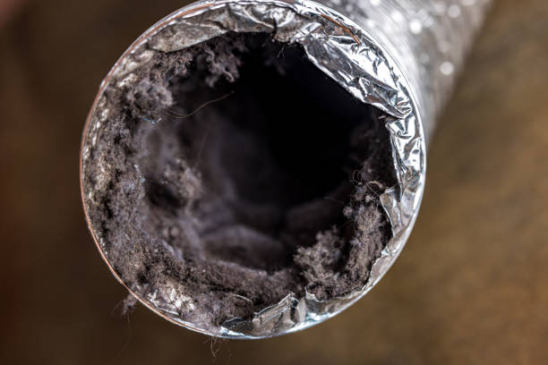 Best Best Air Duct Cleaning Company  in Murray, KY