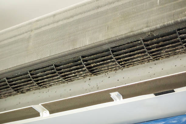 Best Air Vent Cleaning Services  in Murray, KY
